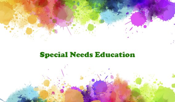 Special Needs Education